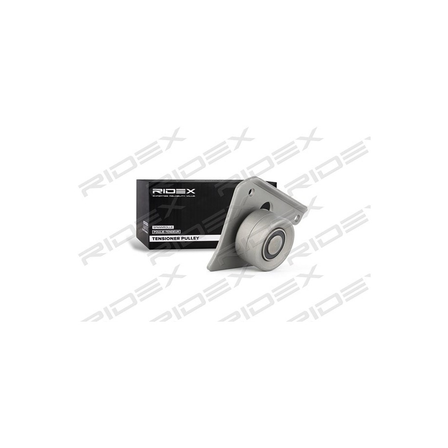 Timing Belt Deflection Guide Pulley - RIDEX 313D0075