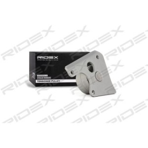 Timing Belt Deflection Guide Pulley - RIDEX 313D0075