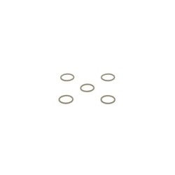 Seal Ring BOSCH 2440210012 OE 1745698