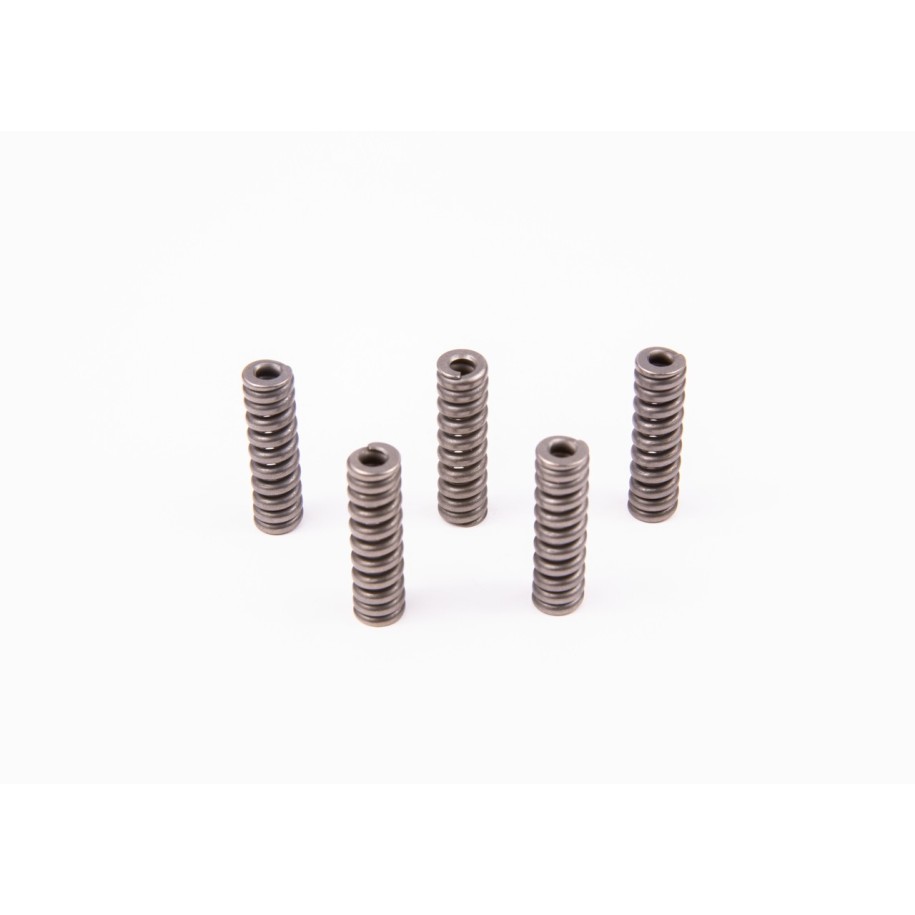 Spring BOSCH 2434614028 OE 01318362
