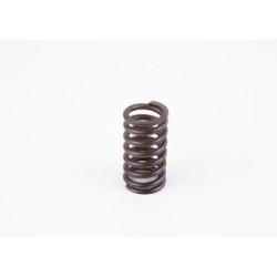 Spring BOSCH 2434614019 OE 12155105