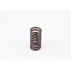 Spring BOSCH 2434614042 OE 42530497