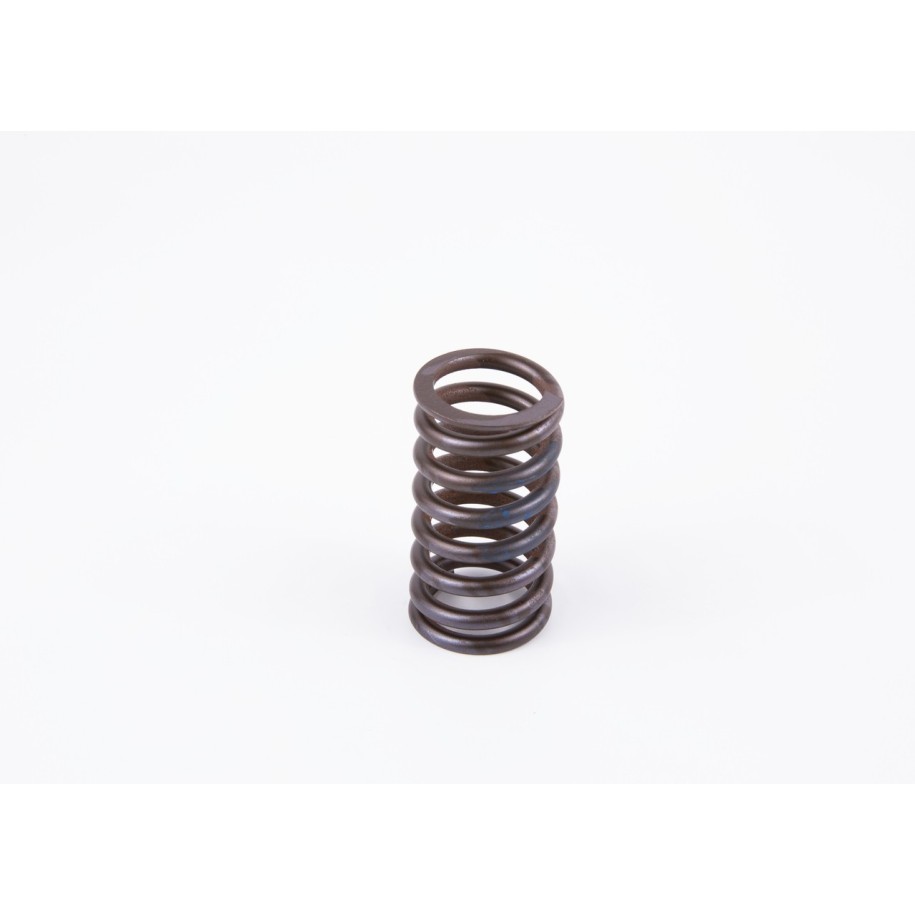 Spring BOSCH 2434614048