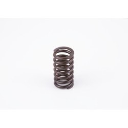 Spring BOSCH 2434614048