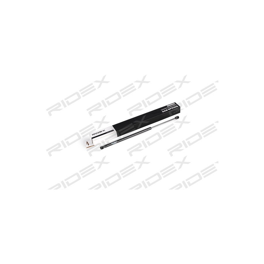 Tailgate Strut - RIDEX 219G0249