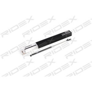 Tailgate Strut - RIDEX 219G0595