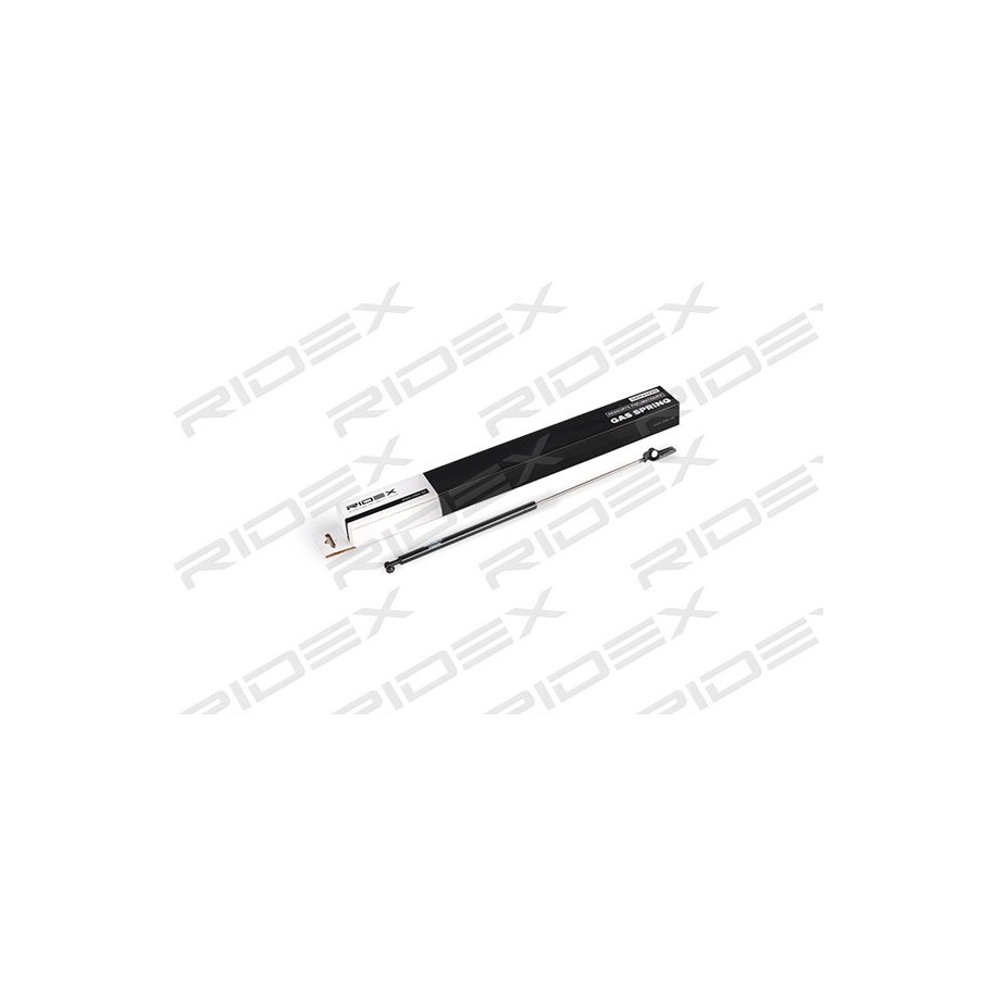 Tailgate Strut - RIDEX 219G0595