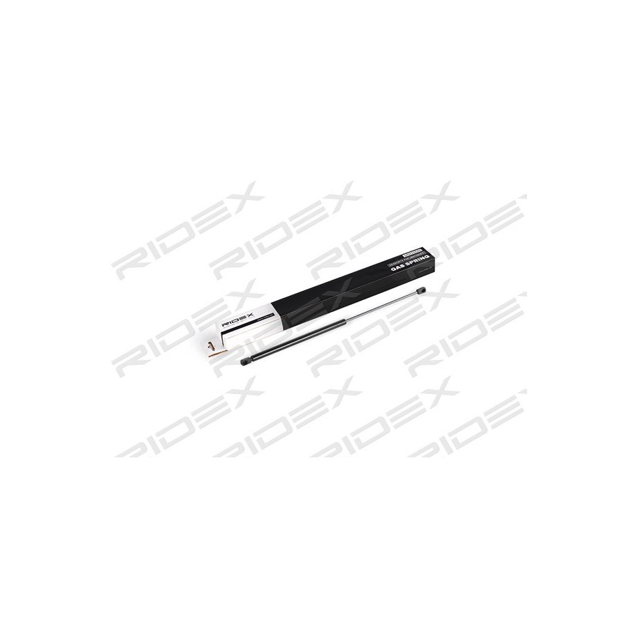 Tailgate Strut - RIDEX 219G0621