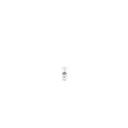 Bulb BOSCH 1987302519
