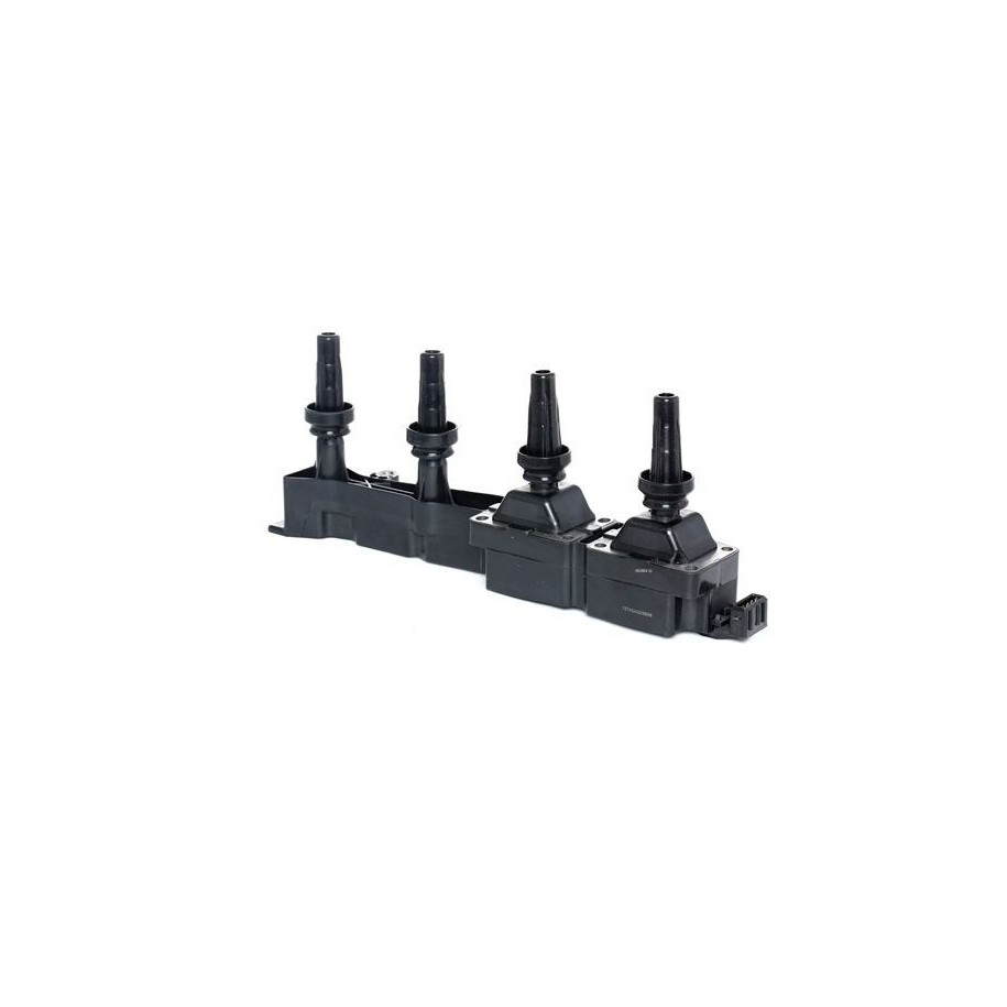 Ignition Coil - RIDEX 689C0054