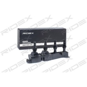 Ignition Coil - RIDEX 689C0054