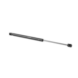 Tailgate Strut - RIDEX 219G0707