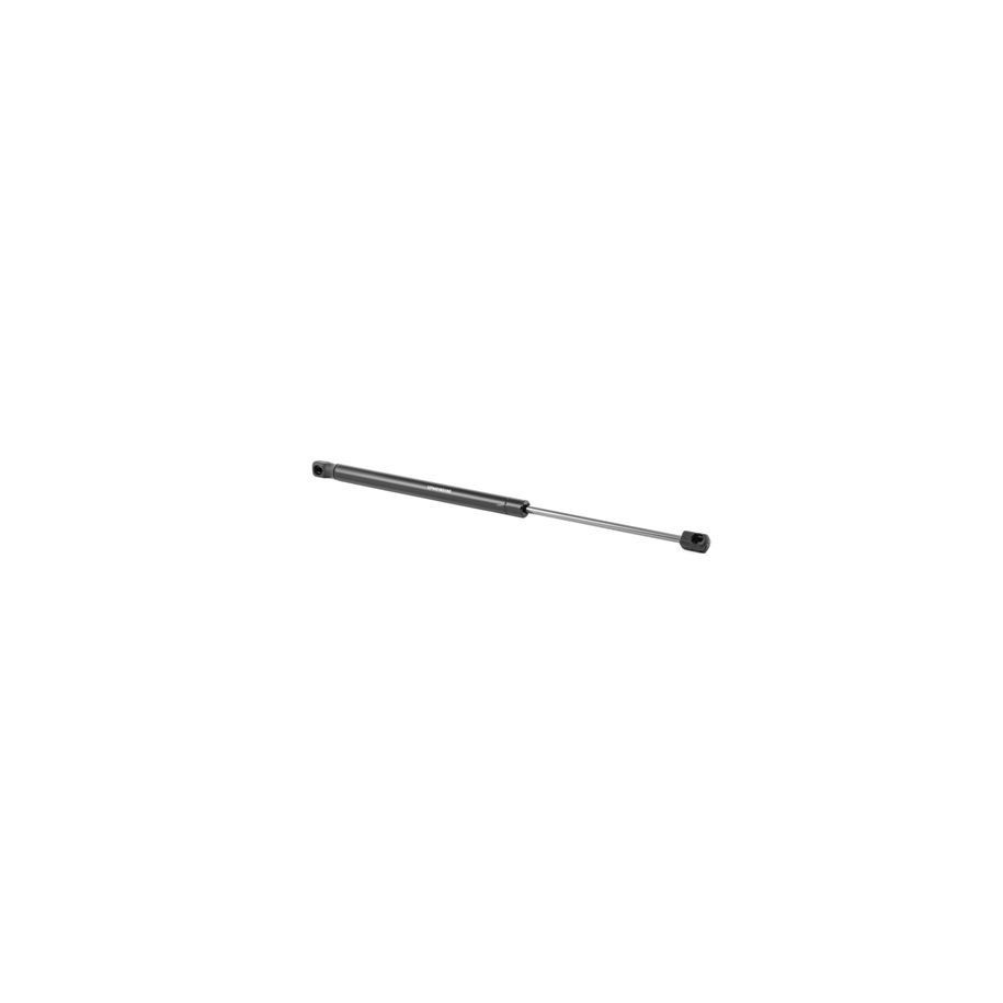 Tailgate Strut - RIDEX 219G0707
