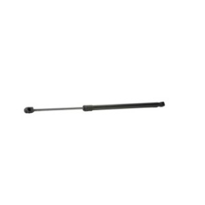 Tailgate Strut - RIDEX 219G0711