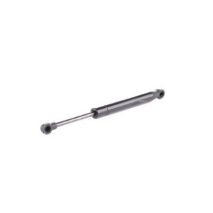 Tailgate Strut - RIDEX 219G0712