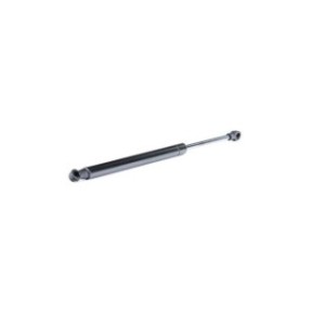 Tailgate Strut - RIDEX 219G0717