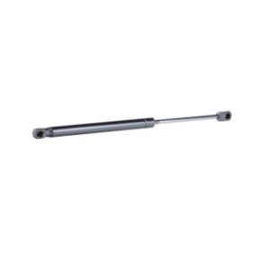 Tailgate Strut - RIDEX 219G0718