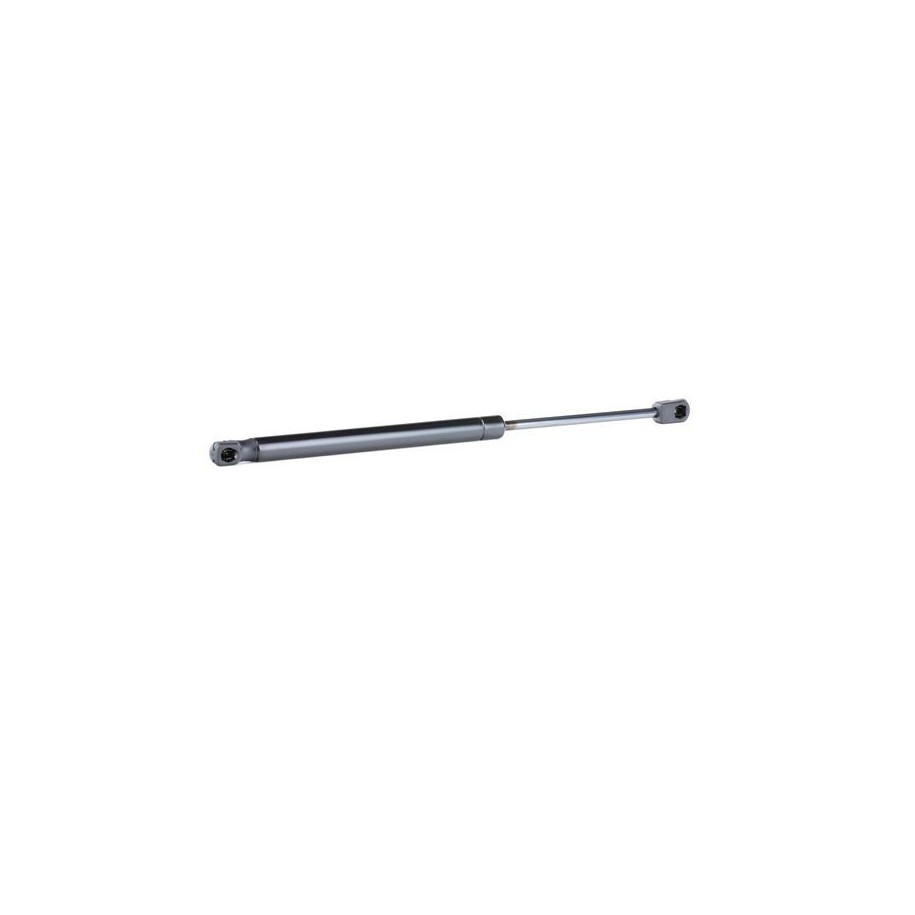 Tailgate Strut - RIDEX 219G0718
