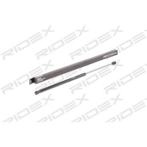 Tailgate Strut - RIDEX 219G0719