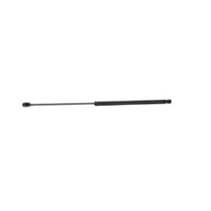 Tailgate Strut - RIDEX 219G0720