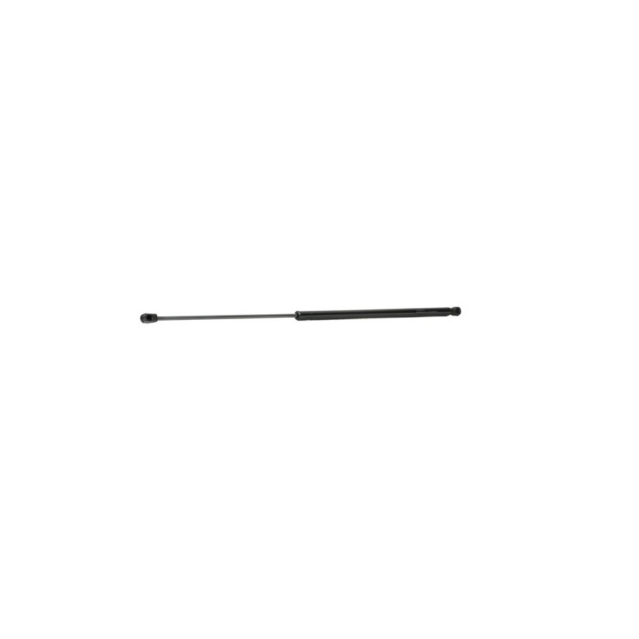 Tailgate Strut - RIDEX 219G0720