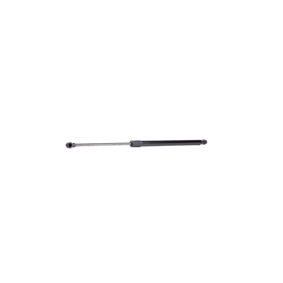 Tailgate Strut - RIDEX 219G0729