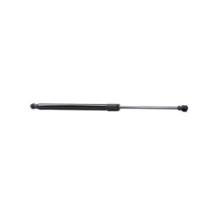 Tailgate Strut - RIDEX 219G0732