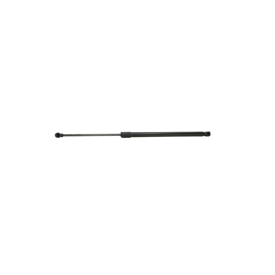 Tailgate Strut - RIDEX 219G0734