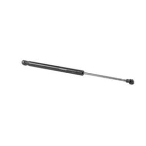 Tailgate Strut - RIDEX 219G0735