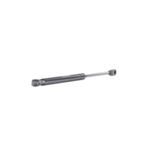 Tailgate Strut - RIDEX 219G0737