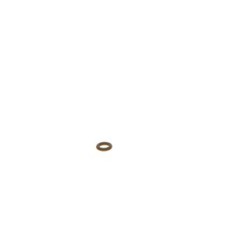 Seal Ring BOSCH 1928301304 OE WHT005302