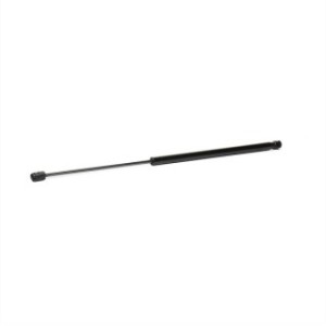 Tailgate Strut - RIDEX 219G0746