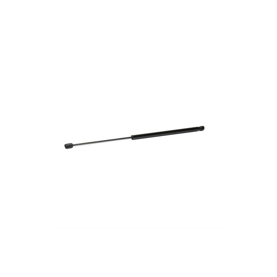 Tailgate Strut - RIDEX 219G0746
