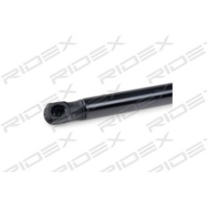 Tailgate Strut - RIDEX 219G0748