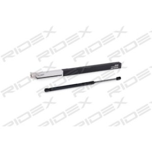 Tailgate Strut - RIDEX 219G0748