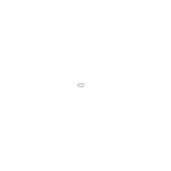 Seal Ring BOSCH 1410227001