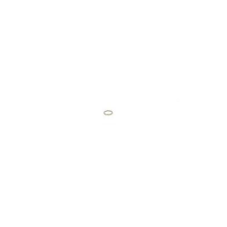 Seal Ring BOSCH 1410227001