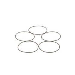 Seal Ring BOSCH 1410210054 OE 606670