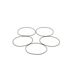 Seal Ring BOSCH 1410210054 OE 606670