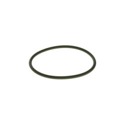 Seal Ring BOSCH F00N201857