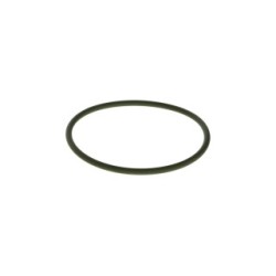 Seal Ring BOSCH F00N201857