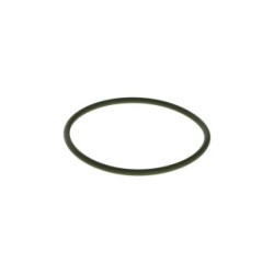 Seal Ring BOSCH F00N201857
