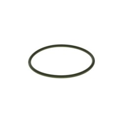 Seal Ring BOSCH F00N201857