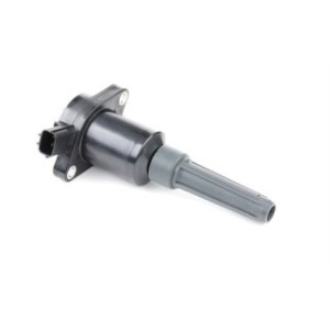Ignition Coil - RIDEX 689C0292