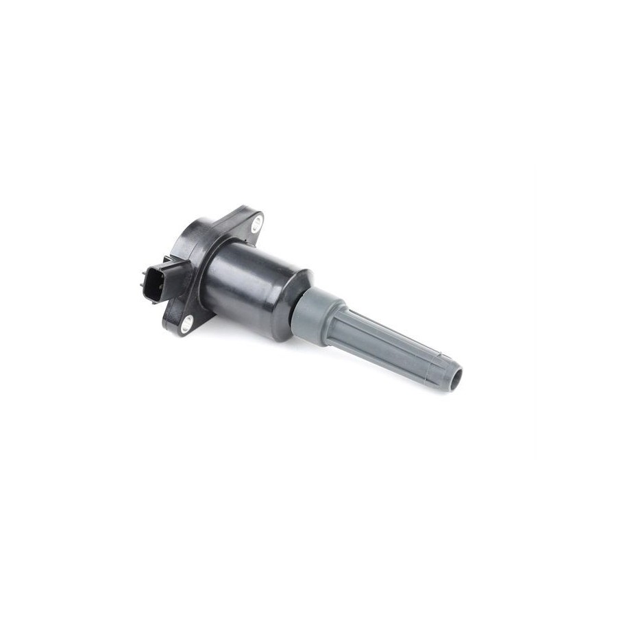 Ignition Coil - RIDEX 689C0292