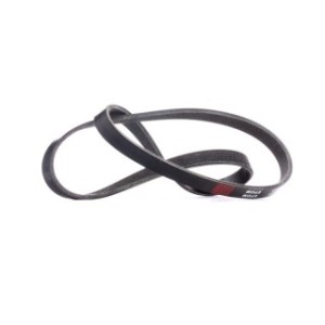 V Ribbed Belt - RIDEX 305P0392