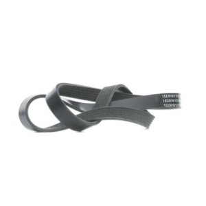 V Ribbed Belt - RIDEX 305P0393