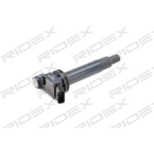 Ignition Coil - RIDEX 689C0318