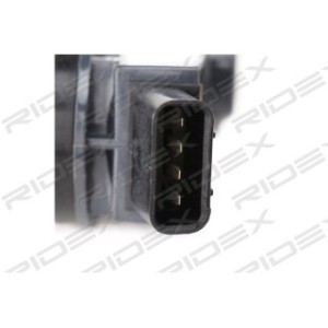 Ignition Coil - RIDEX 689C0318