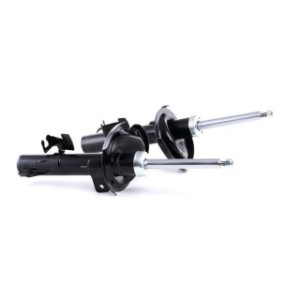 Shock Absorber - RIDEX 854S1984